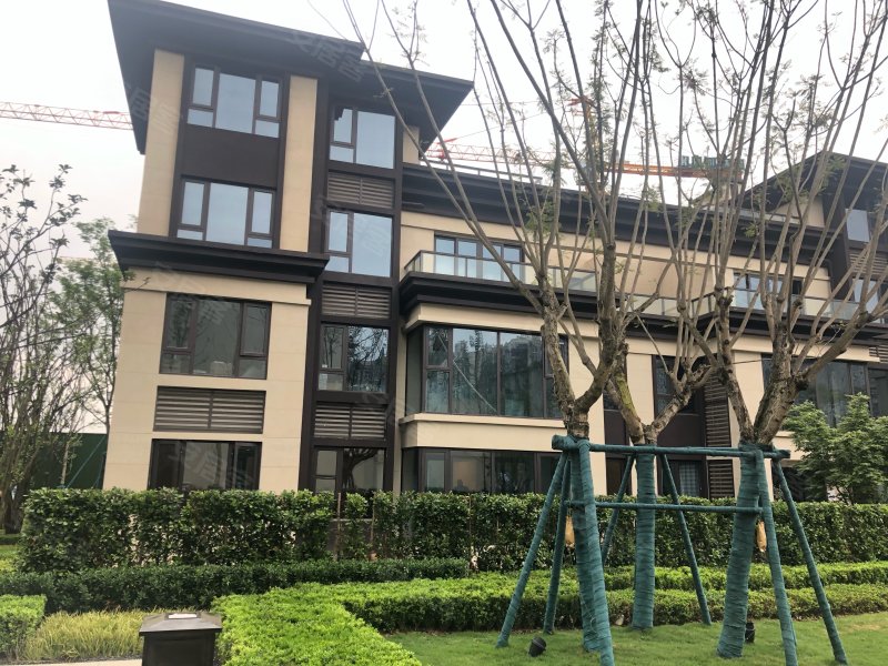 金科中梁美院