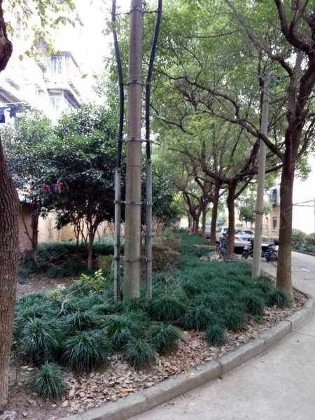 南大路180弄小区 