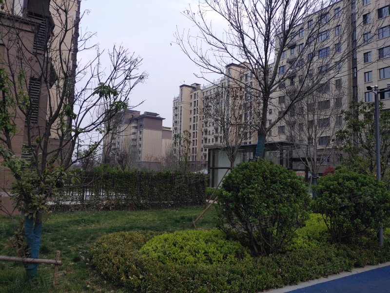 中南熙悦(广饶)