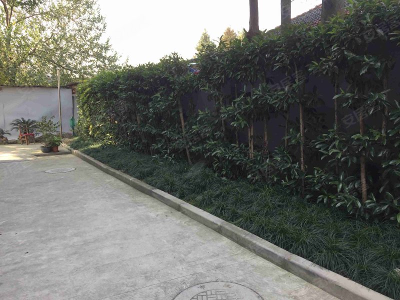 王桥街41弄小区 