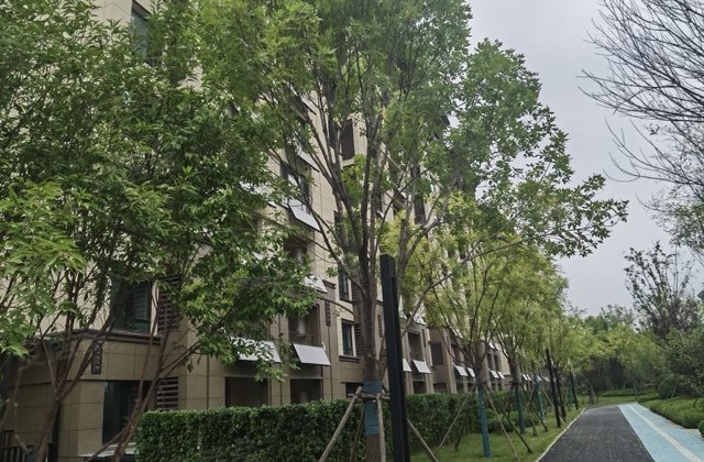 石榴玉兰湾2室3厅88.99㎡95万二手房图片