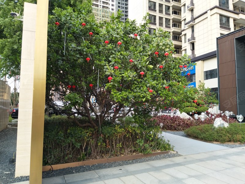 阳光城松宇公馆,中山路,近桂林路-贵港阳光城松宇公馆二手房,租房