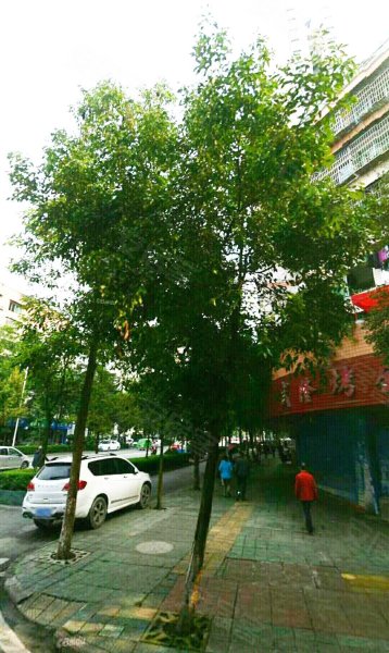 瑞景花园,宝城路一段136号-郑州瑞景花园二手房,租房,房价-郑州安居客
