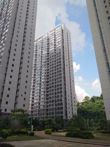 颂德花园(颂德国际)