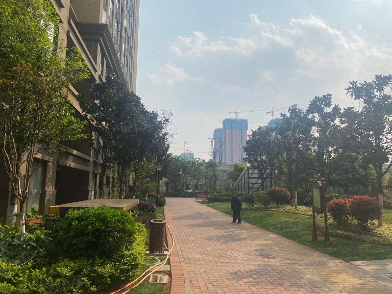 俊发城百合苑,北京路,近沣源路-昆明俊发城百合苑二手房,租房,房价