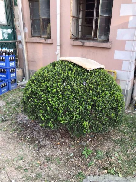 绿川小区(东区) 