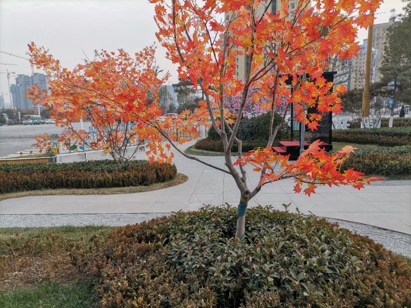 泰山玉兰花园,泮河大街-泰安泰山玉兰花园二手房,租房,房价-泰安安居