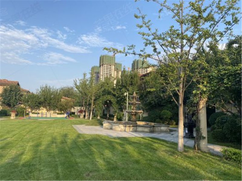 新湖仙林金谷(南区)