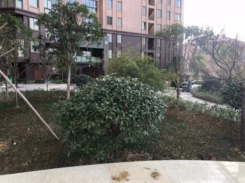 海天城市花园,吴宁西路55号-东阳海天城市花园二手房,租房,房价-东阳