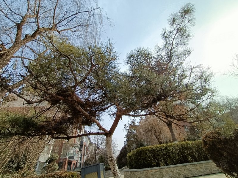 鲁商南池公馆,南池路-济宁鲁商南池公馆二手房,租房,房价-济宁安居客