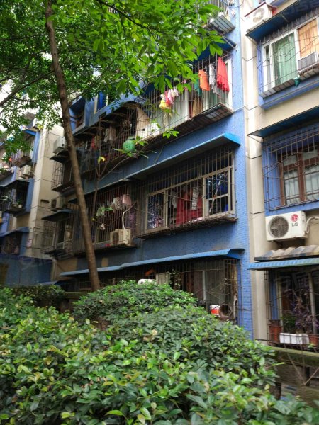 枣子岚垭正街小区