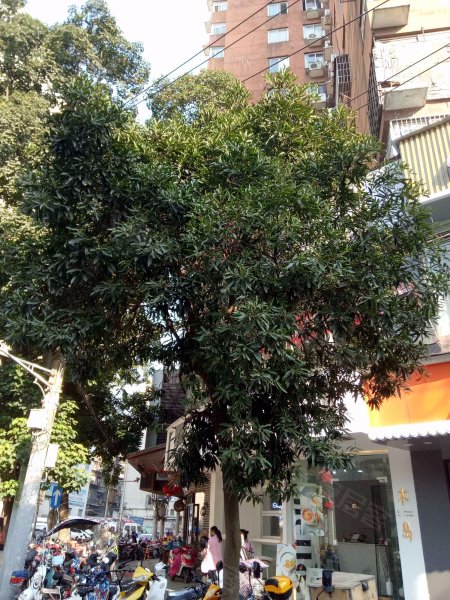 景田大厦,象山南路467号-南昌景田大厦二手房,租房,房价-南昌安居客