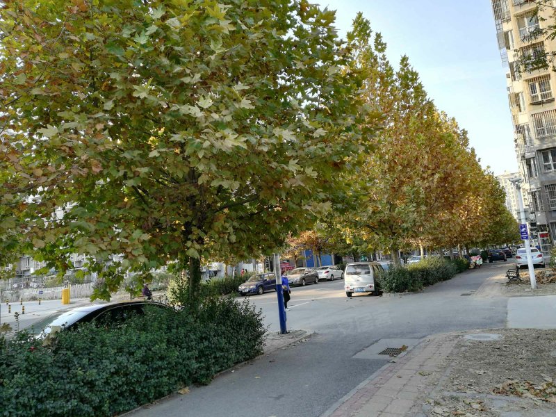 正泰里惠民园,光明南路-唐山正泰里惠民园二手房,租房,房价-唐山安居