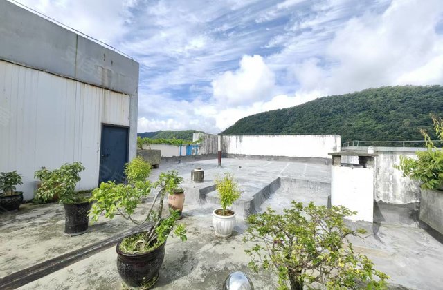 蓝天花园4室2厅150.88㎡41.8万二手房图片