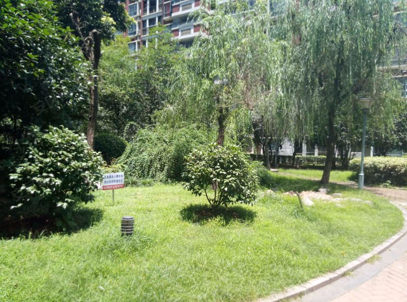 武昌城市公园,静安路9号-武汉武昌城市公园二手房,租房,房价-武汉安居