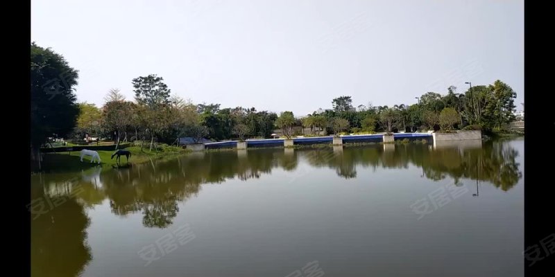 惠州泰丰牧马湖别墅图片