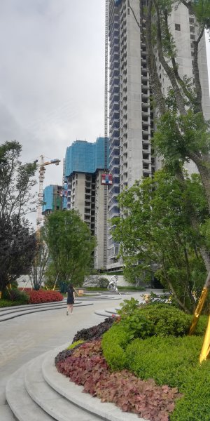 青秀2046(商住楼)