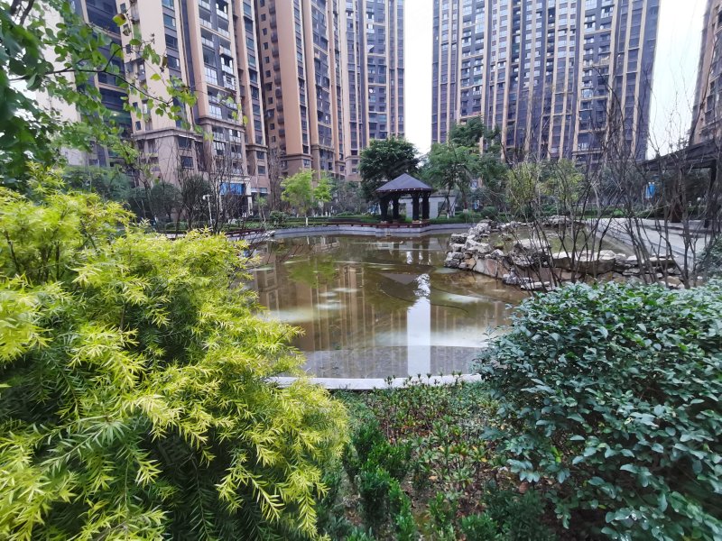 鸿通凤凰国际,三苏路,近瑞祥路-乐山鸿通凤凰国际二手房,租房,房价