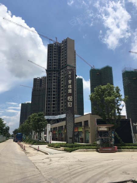 龙光碧桂园悦府