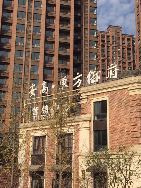 安高东方名邸 