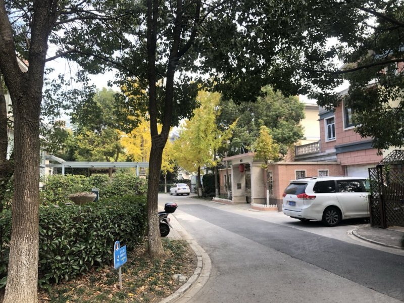 海德花园(别墅),海笛路199弄,蕰川路2488弄-上海海德花园(别墅)二手房