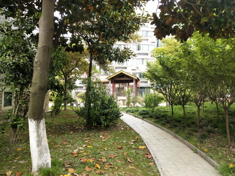 昌鑫时代绿园