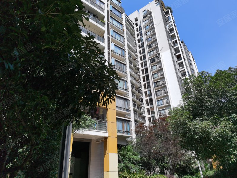 鲁能星城四街区