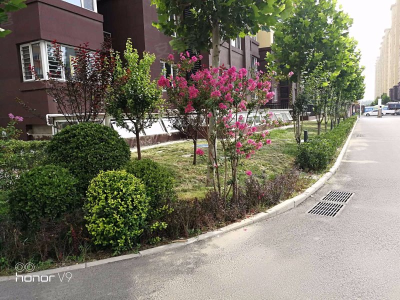 鼎顺嘉园(西区),顺仁路57号-北京鼎顺嘉园(西区)二手房,租房,房价