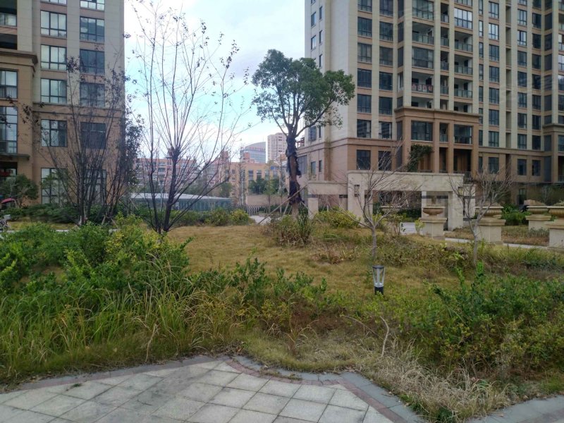 南城嘉园,五环路,近宁康西路-乐清南城嘉园二手房,租房,房价-乐清安居