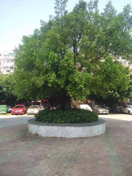 西园雅居东区,玄南岭路632号-福州西园雅居东区二手房,租房,房价-福州