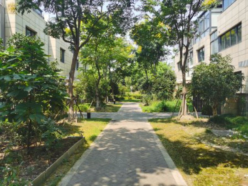 安亭新镇波恩风情(别墅) 