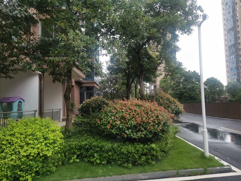 碧桂园梓山府,迎宾东路518号-益阳碧桂园梓山府二手房,租房,房价-益阳