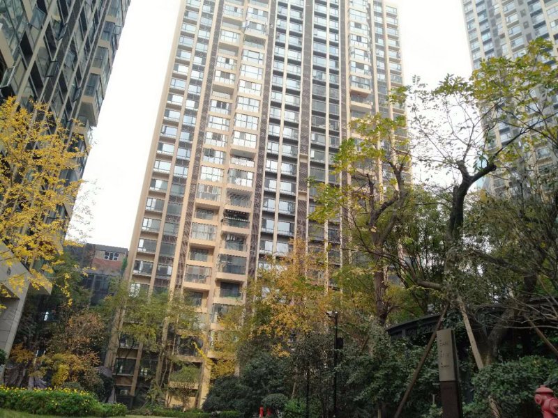 招商中央华城(商住楼)