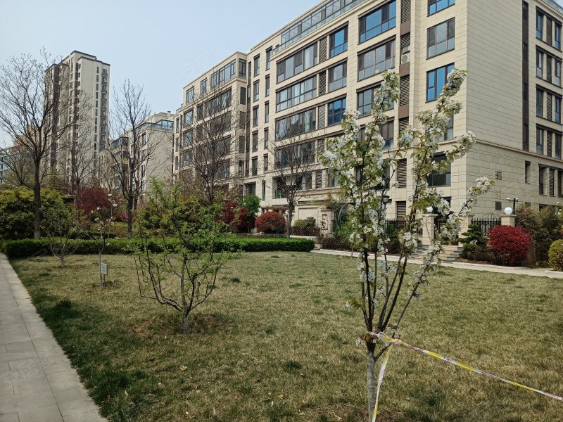 青岛天安数码城