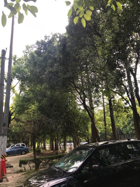 春晖小区(航华三村三街坊) 