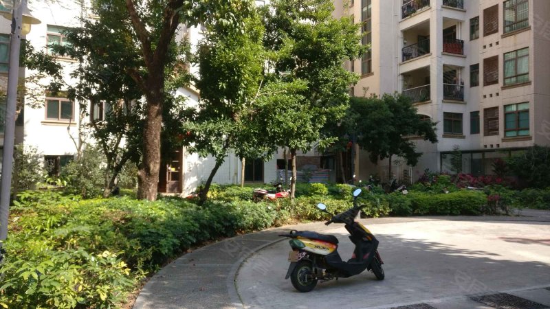 东城花园,金谷大道1号-广州东城花园二手房,租房,房价-广州安居客