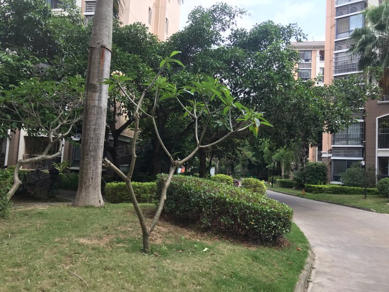 同和水岸香堤,广东南路213号-北海同和水岸香堤二手房,租房,房价-北海