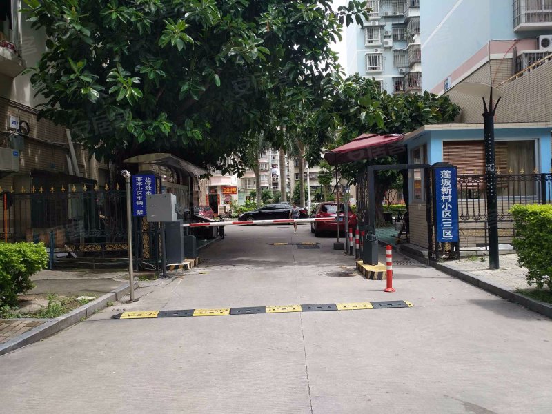 莲坂新村小区(三区),莲景路23-85号-厦门莲坂新村小区(三区)二手房