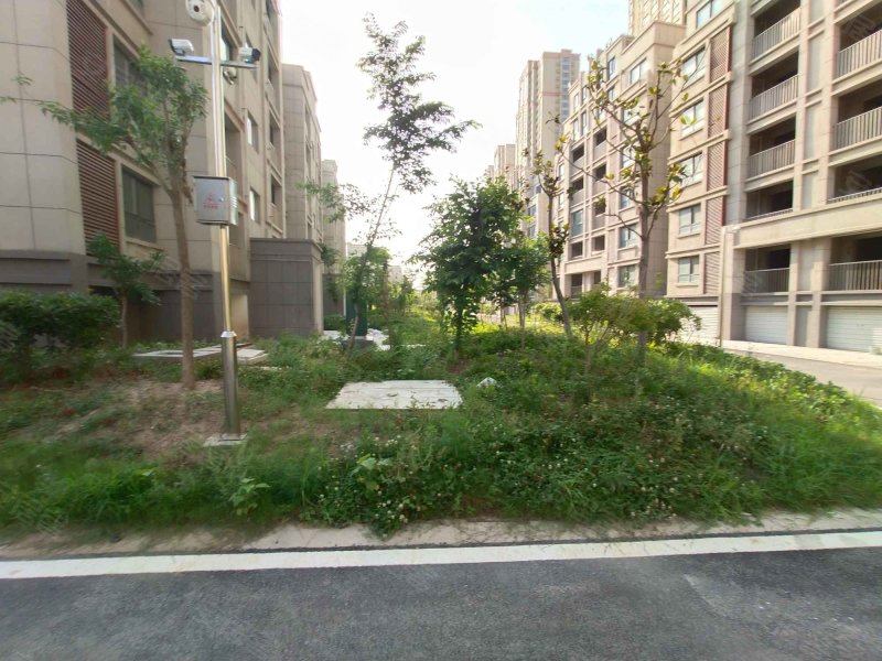 学府壹号(阜宁),苏州路-阜宁学府壹号(阜宁)二手房,租房,房价-阜宁