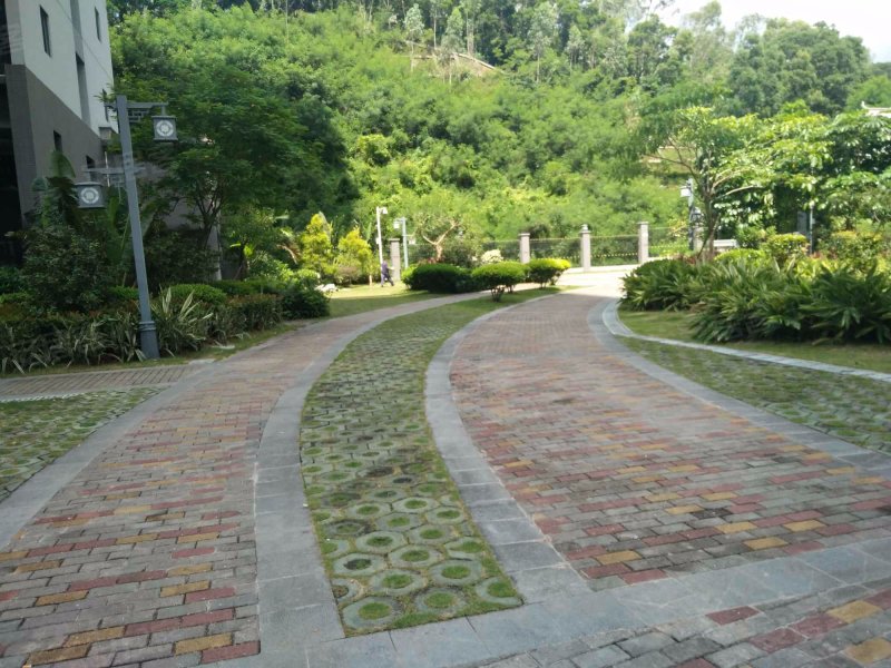 颂德花园(颂德国际)