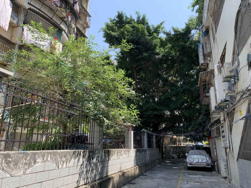长青路250-253号小区,长青路250-253号-厦门长青路250-253号小区二手