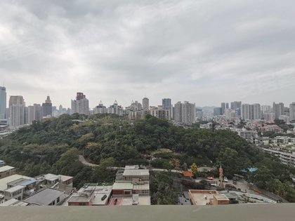 阳朔县东岭社区有多少人口_人民有信仰