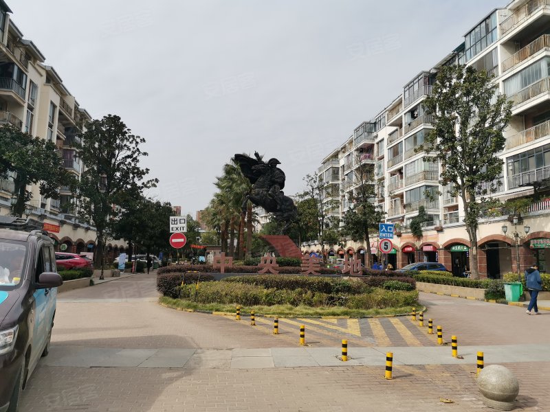 中央美地,花湖大道19号-黄石中央美地二手房,租房,房价-黄石安居客