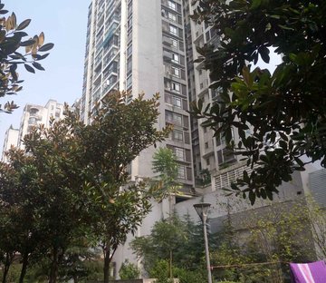 北师大 136平 精装 南北通透 金华园 楼层好 视野无遮挡