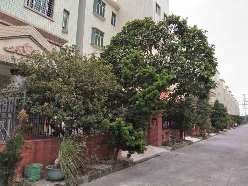 河畔花园,振兴西路1号-东莞河畔花园二手房,租房,房价-东莞安居客