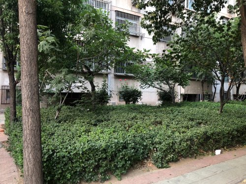 安康小区,同心巷9号 - 邹城安康小区二手房,租房,房价-邹城安居客