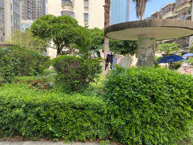 嘉美花园,湖滨西路72号-厦门嘉美花园二手房,租房,房价-厦门安居客