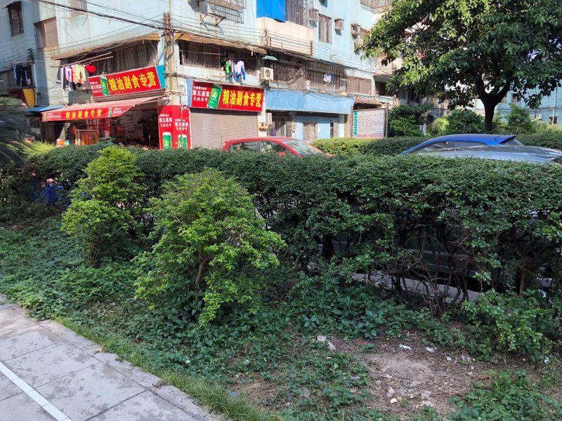 黄岐明珠广场,南海路-佛山黄岐明珠广场二手房,租房,房价-佛山安居客