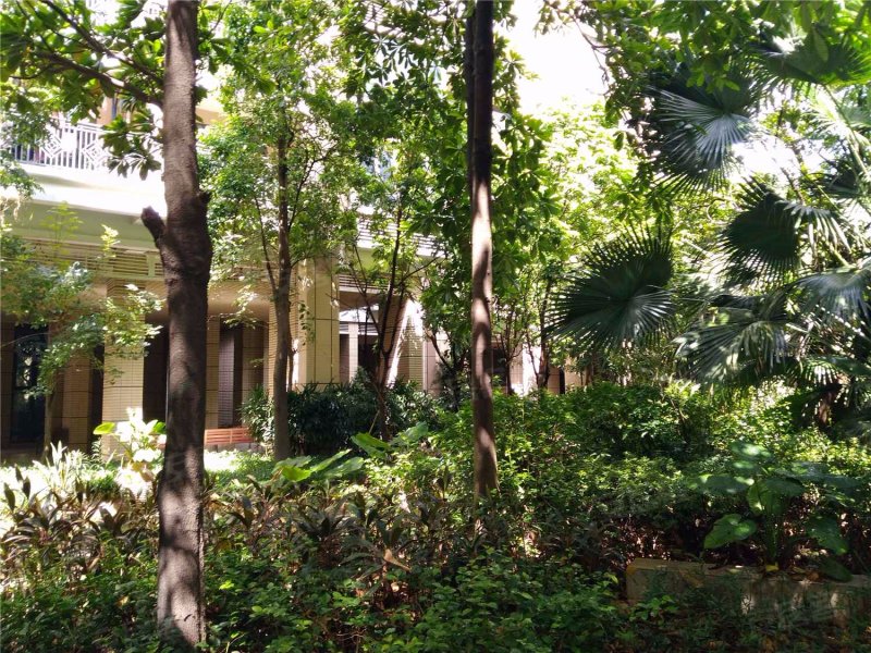 依云水岸一期,新乐路-佛山依云水岸一期二手房,租房,房价-佛山安居客