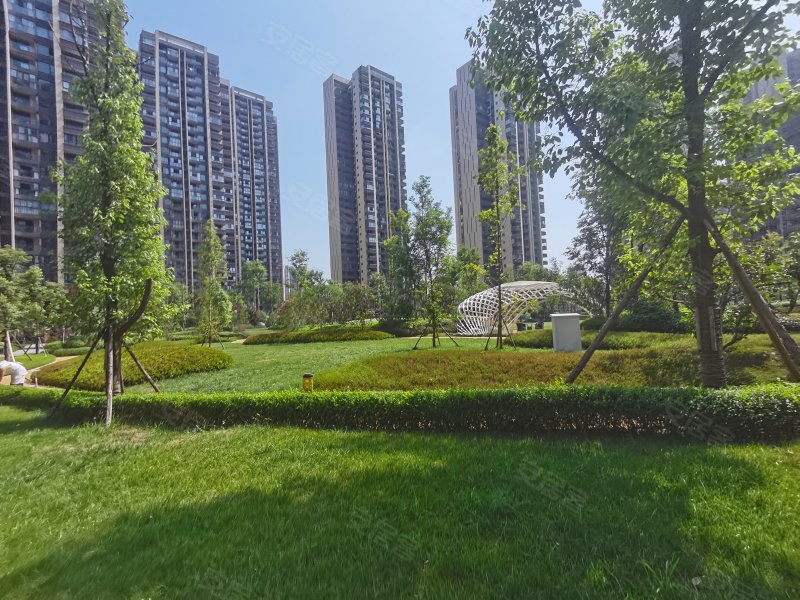 圣桦名城,希望大道-资阳圣桦名城二手房,租房,房价-资阳安居客